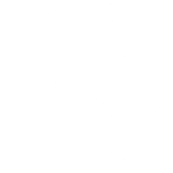 Checks and Co. logo